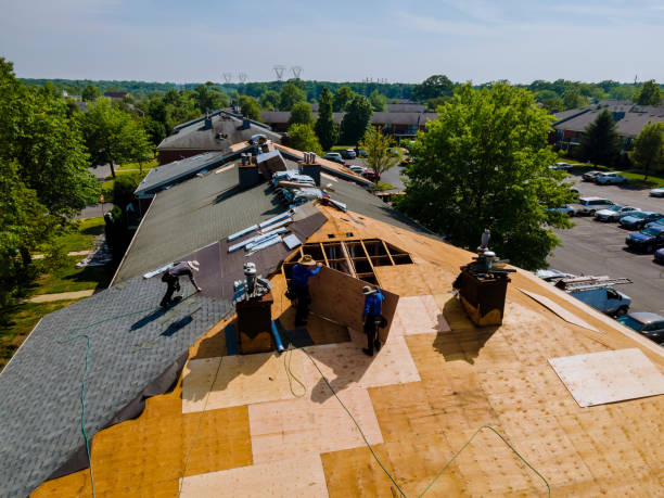 Best Affordable Roof Replacement  in Liberty, IN